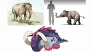 Great Tusk's inspirations (Image via The Pokemon Company)